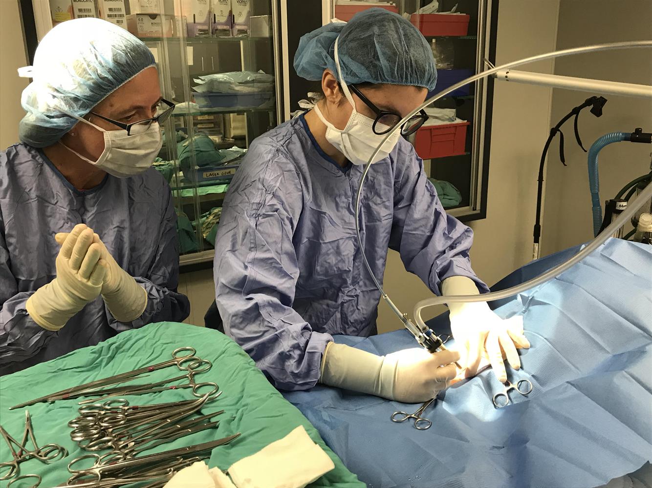 Educational Opportunities Society Hill Veterinary Hospital